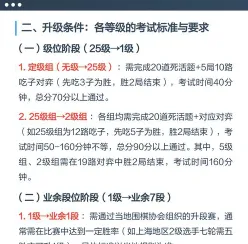 业余段位