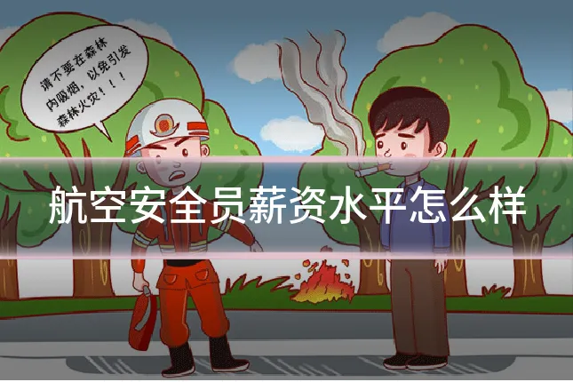 航空安全员薪资水平怎么样