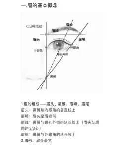学习纹眉