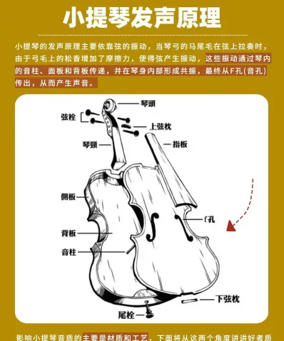 初学选琴