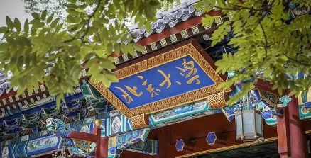 大学推荐