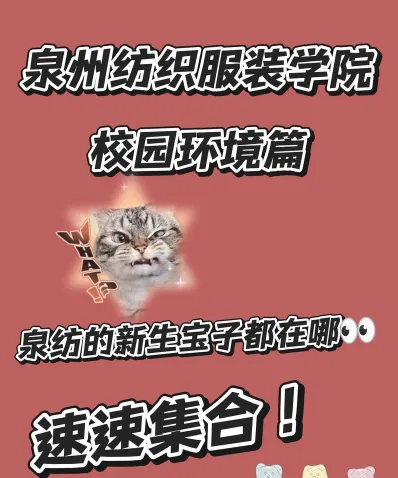 全日制专科