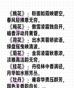 女人如花