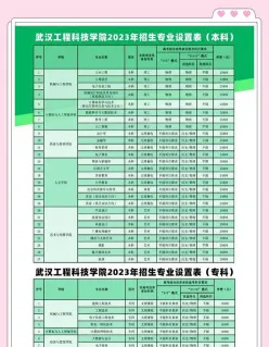 武汉工程科技学院
