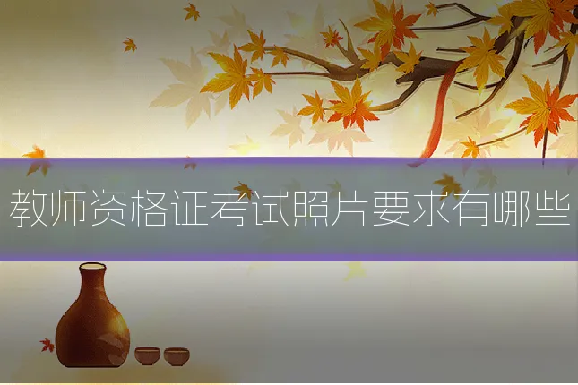 教师资格证考试照片要求有哪些