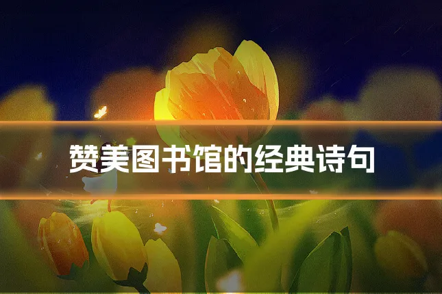 赞美图书馆的经典诗句