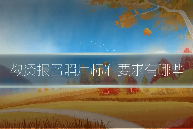 教资报名照片标准要求有哪些