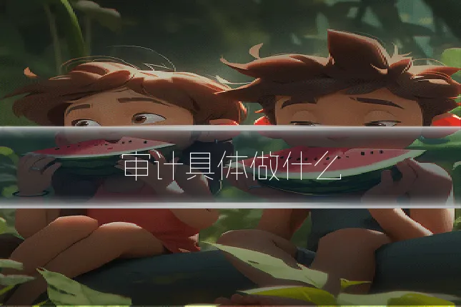 审计具体做什么