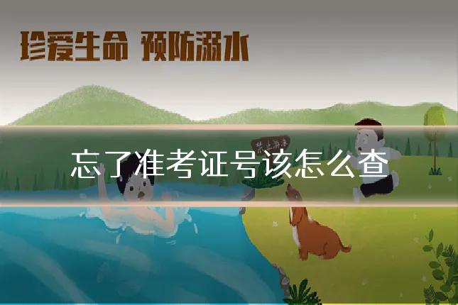 忘了准考证号该怎么查