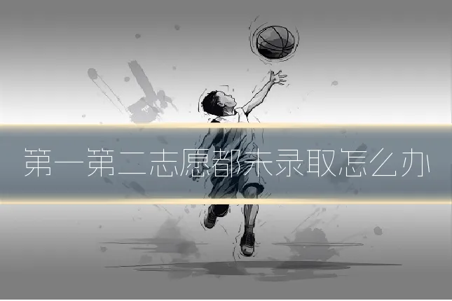 第一第二志愿都未录取怎么办