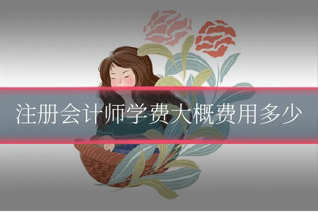 注册会计师学费大概费用多少