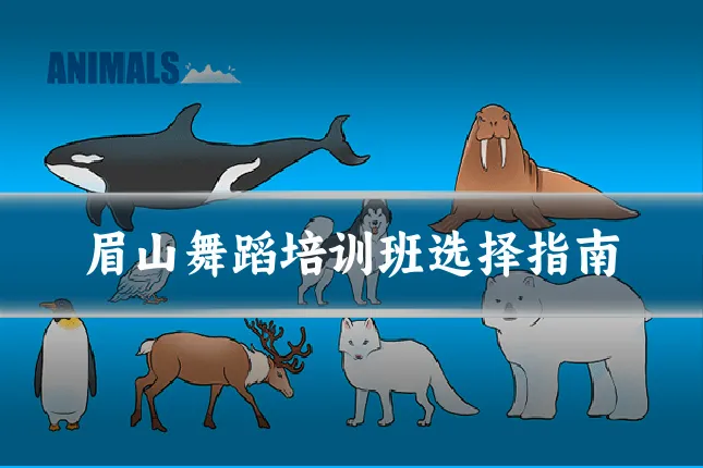 眉山舞蹈培训班选择指南