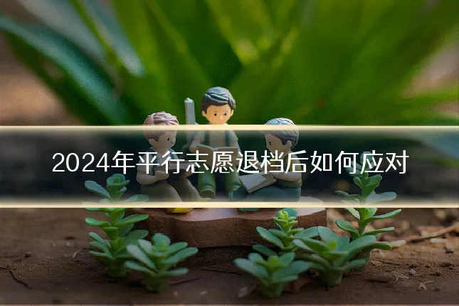 2024年平行志愿退档后如何应对