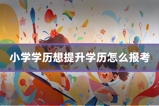 小学学历想提升学历怎么报考