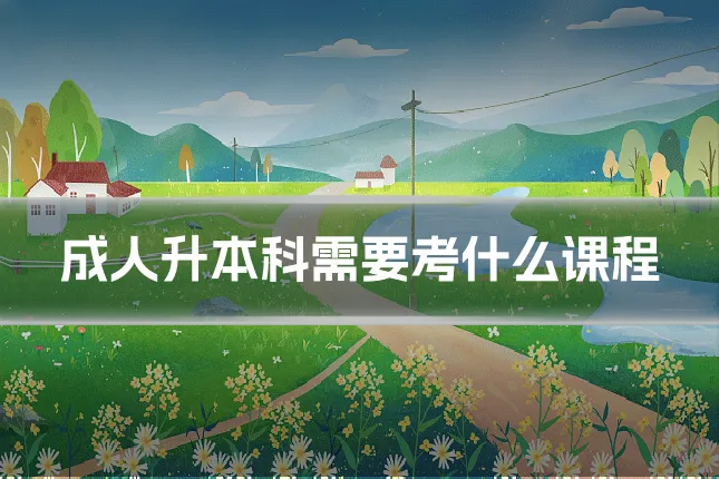成人升本科需要考什么课程