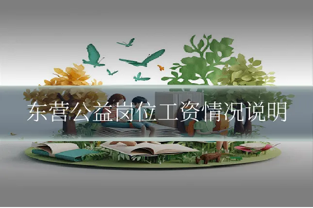东营公益岗位工资情况说明