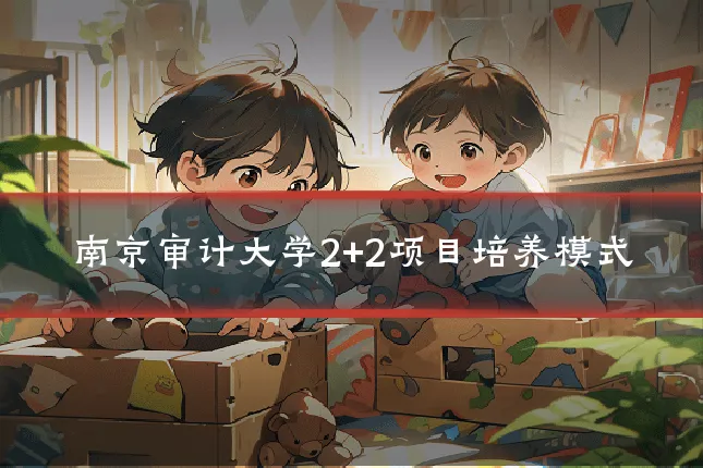 南京审计大学2+2项目培养模式