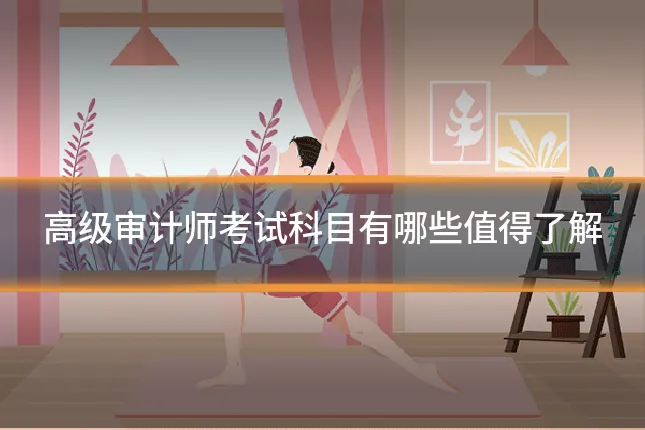 高级审计师考试科目有哪些值得了解