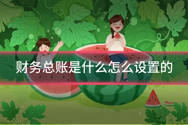 财务总账是什么怎么设置的
