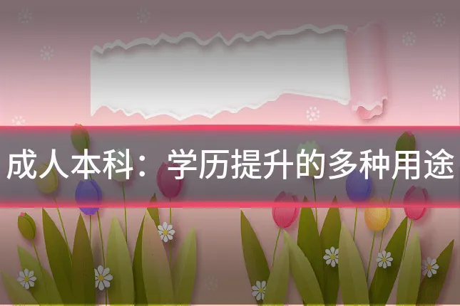 成人本科：学历提升的多种用途