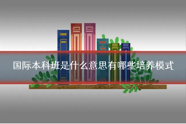 国际本科班是什么意思有哪些培养模式