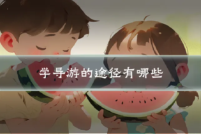 学导游的途径有哪些