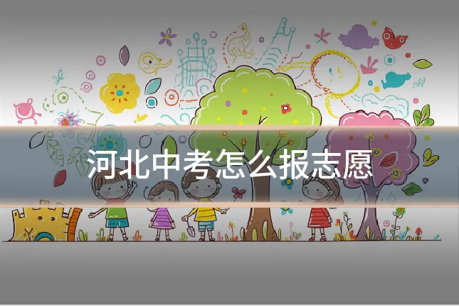 河北中考怎么报志愿
