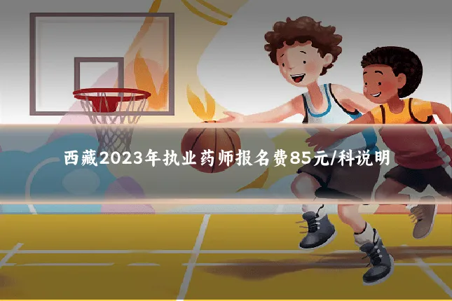 西藏2023年执业药师报名费85元/科说明