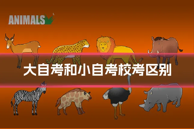 大自考和小自考校考区别