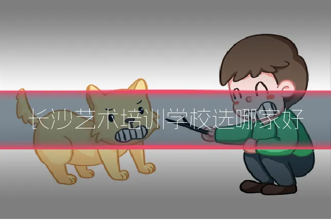 长沙艺术培训学校选哪家好