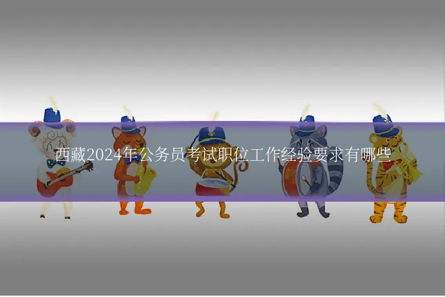西藏2024年公务员考试职位工作经验要求有哪些