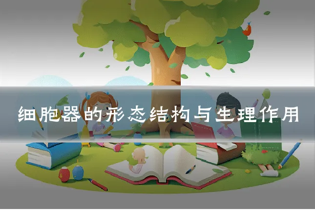 细胞器的形态结构与生理作用