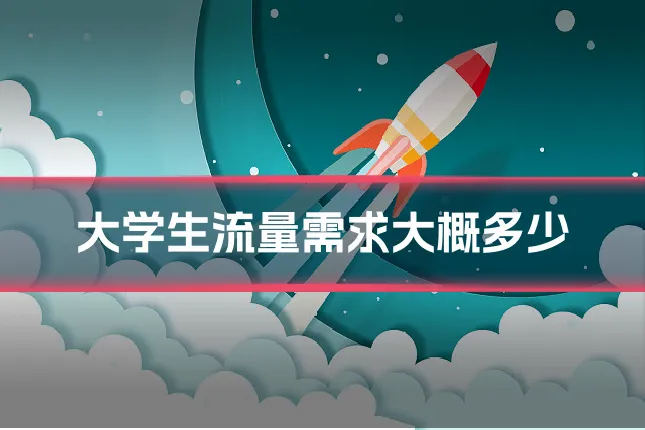 大学生流量需求大概多少