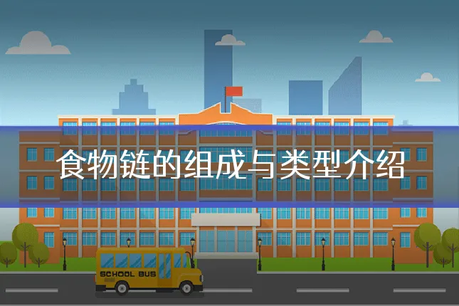 食物链的组成与类型介绍