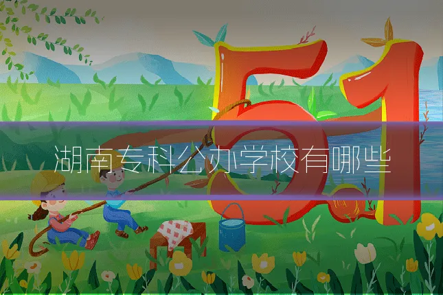 湖南专科公办学校有哪些