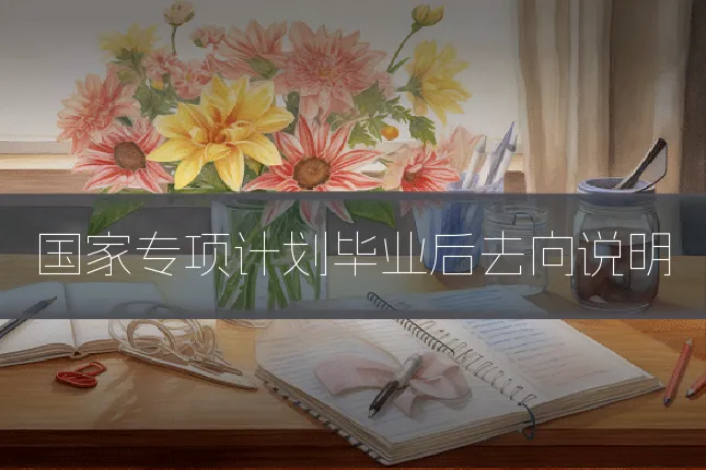 国家专项计划毕业后去向说明