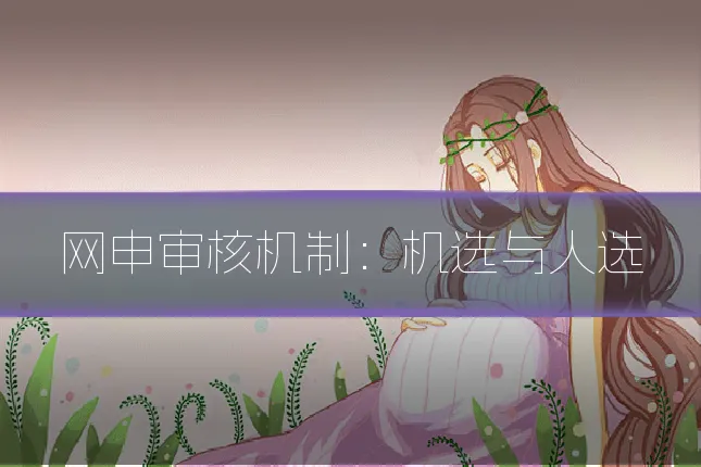 网申审核机制:机选与人选