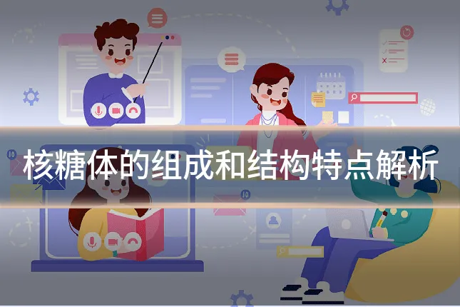 核糖体的组成和结构特点解析