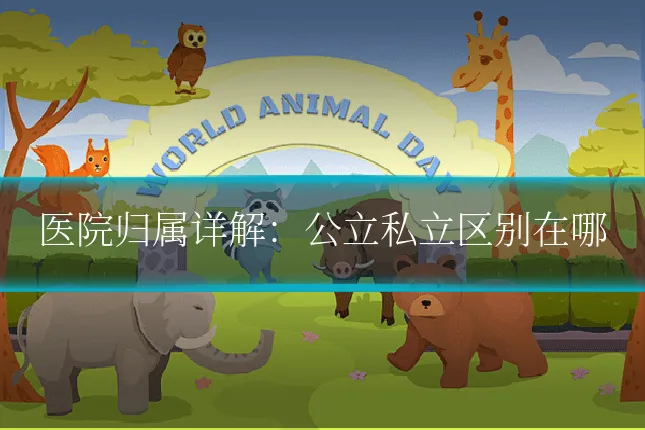 医院归属详解：公立私立区别在哪