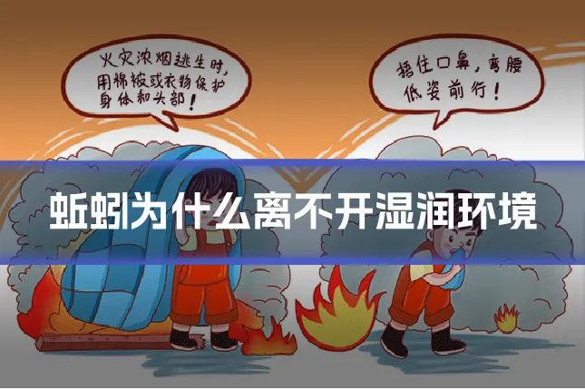蚯蚓为什么离不开湿润环境