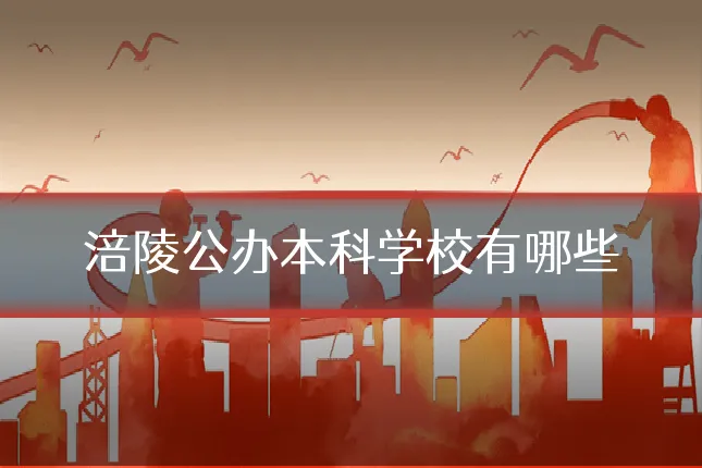涪陵公办本科学校有哪些