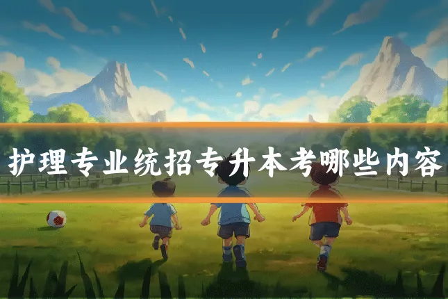 护理专业统招专升本考哪些内容