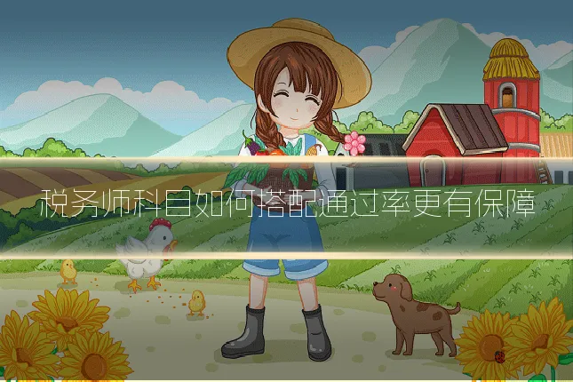 税务师科目如何搭配通过率更有保障