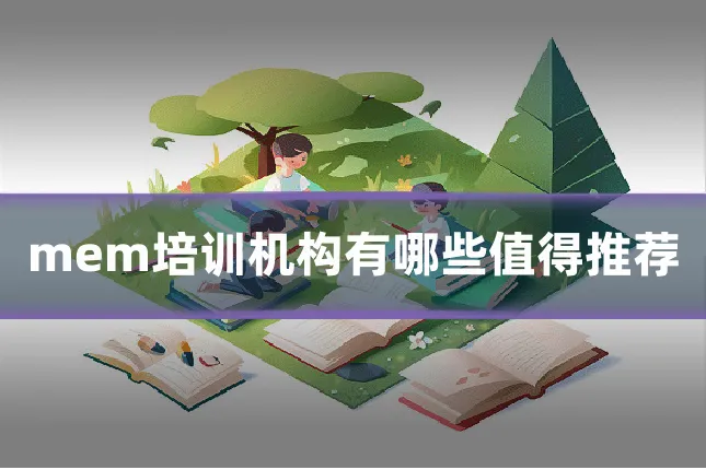 mem培训机构有哪些值得推荐