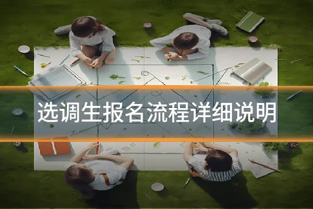 选调生报名流程详细说明