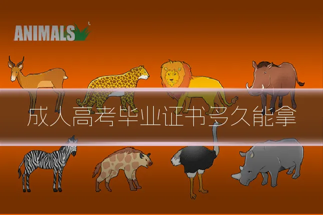 成人高考毕业证书多久能拿