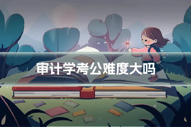 审计学考公难度大吗