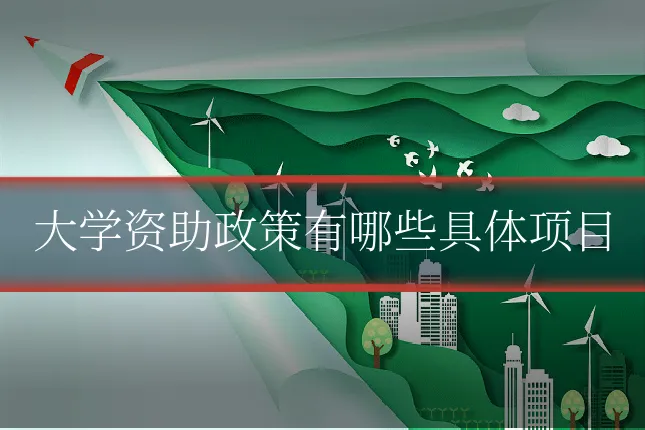 大学资助政策有哪些具体项目
