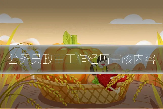 公务员政审工作经历审核内容