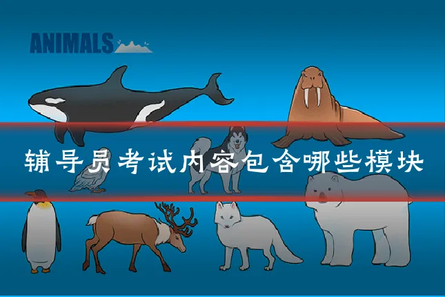 辅导员考试内容包含哪些模块